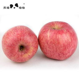 熊貓伯伯洛川小蘋果 自然饋贈的活力紅韻